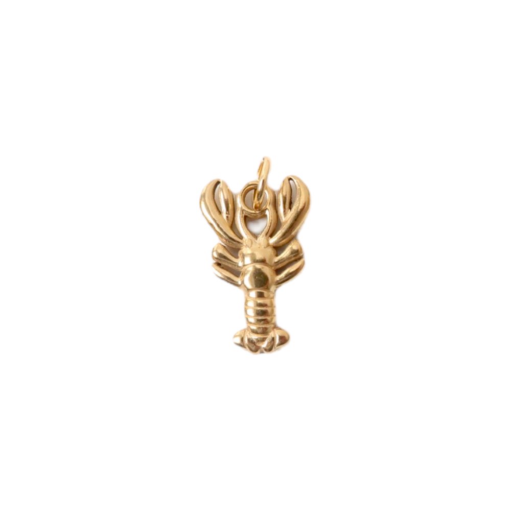 Charm | Lobster